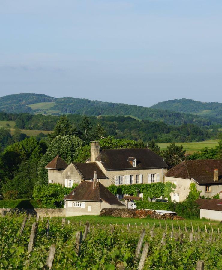Domaine De Saint Loth' Saint-Lothain Exterior foto