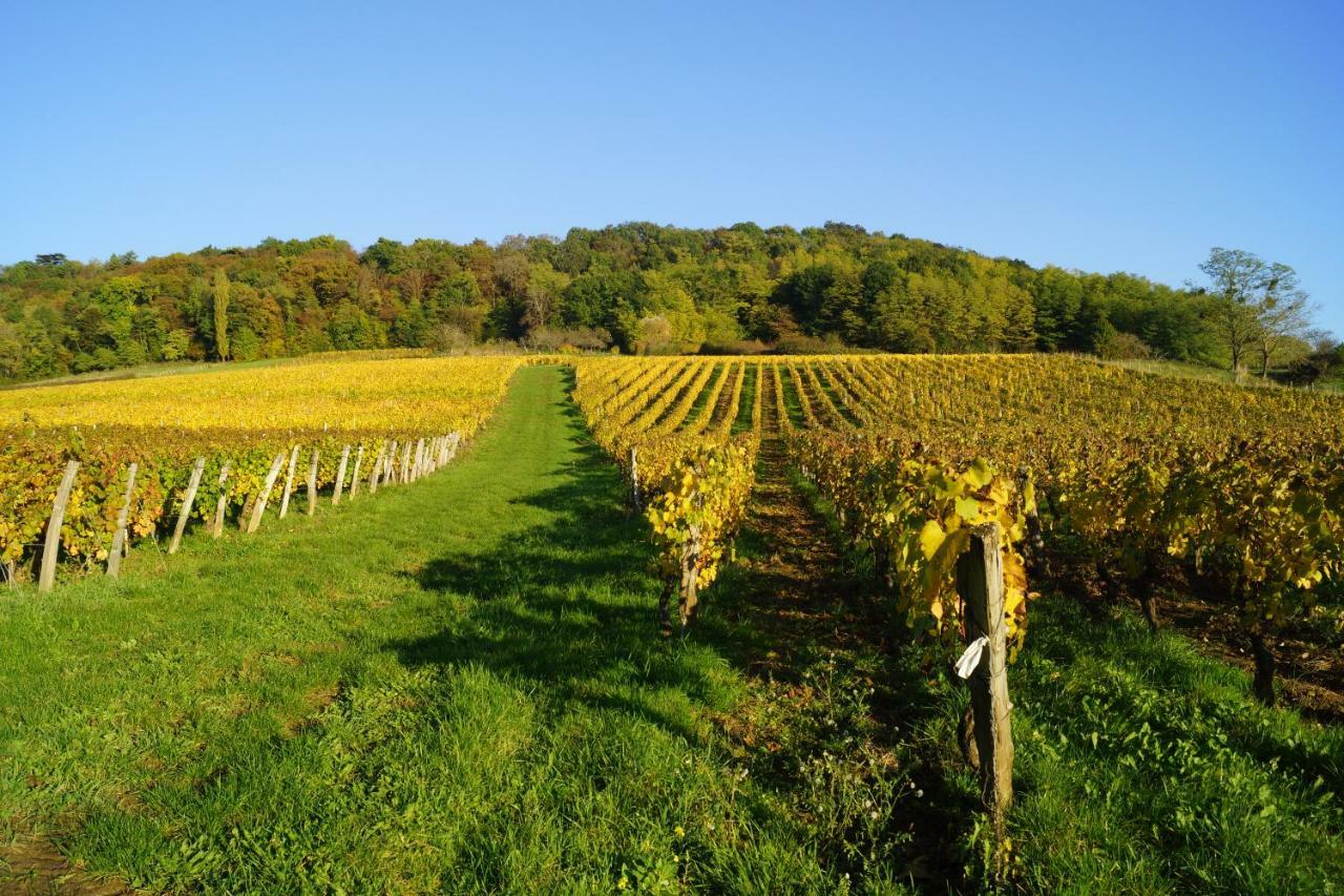 Domaine De Saint Loth' Saint-Lothain Exterior foto